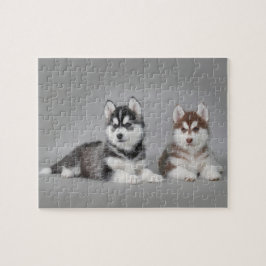 Quebra-cabeça Cãezinhos-de-casca-siberiana
