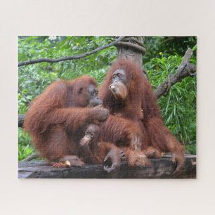 Quebra-cabeça Café da manhã com o zoológico de Singapura, em