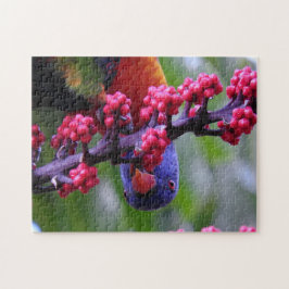 Quebra-cabeça Caindo em um lanche - Rainbow Lorikeet