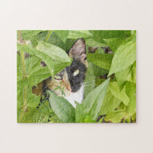 Quebra-cabeça Calico Cat nos Zinnias
