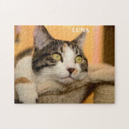 Quebra-cabeça Calico Gato Gato