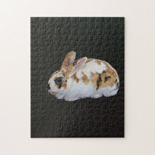 Quebra-cabeça Calico Rabbit