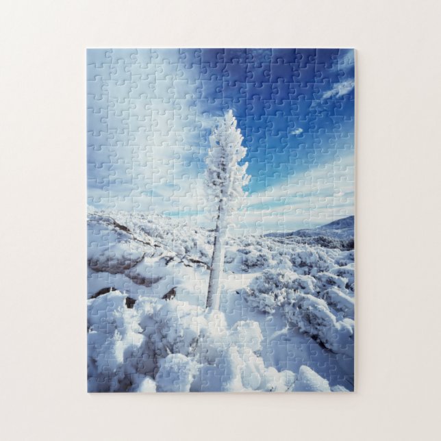 Quebra-cabeça Califórnia, Anza Borrego Desert State Park 2 (Vertical)