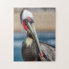 Quebra-cabeça California Brown Pelican, Foto de Arte Fina,
