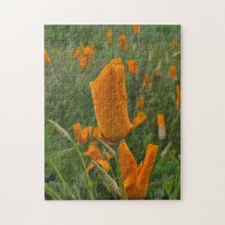Quebra-cabeça Califórnia Poppies como Buds