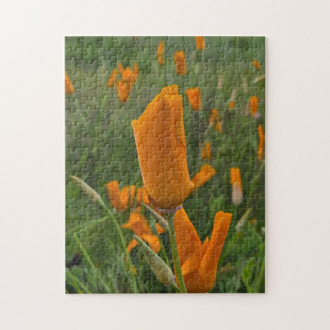 Quebra-cabeça Califórnia Poppies como Buds (Vertical)