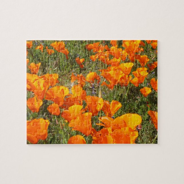 Quebra-cabeça California Poppies JigserQuebra-cabeça (Horizontal)