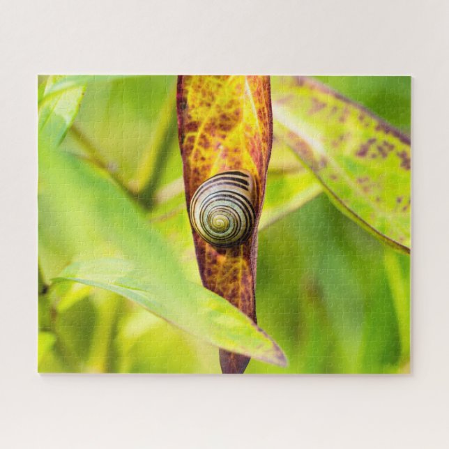 Quebra-cabeça calma (Horizontal)