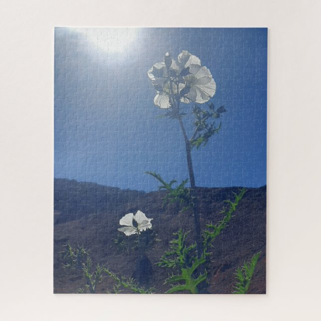 Quebra-cabeça Calma Matinal: Flor de Creme em Luz Transparente (Vertical)