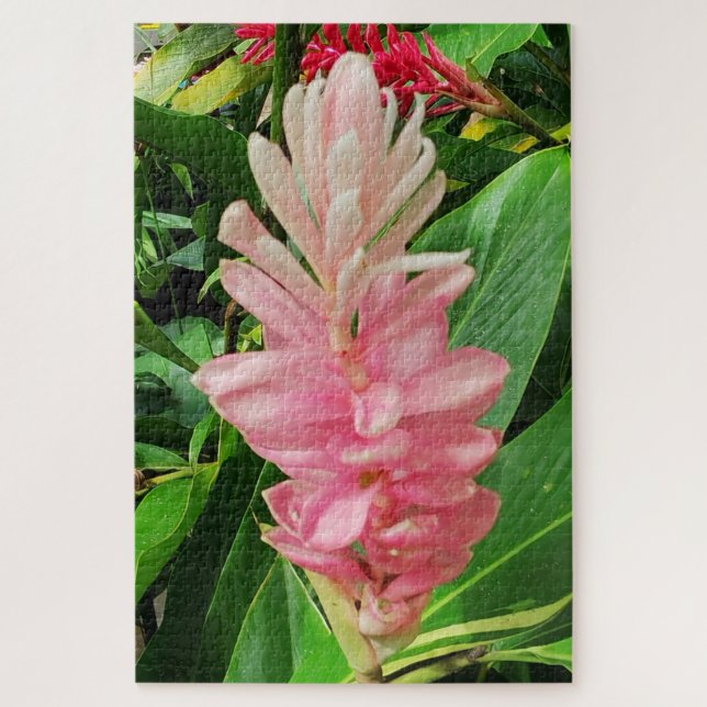 Quebra-cabeça Calma Matinal: Flor de Gengibre Rosa Pálido Pétala (Vertical)