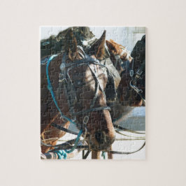 Quebra-cabeça Câmara Municipal Encontrando Cavalos Amish Buggy