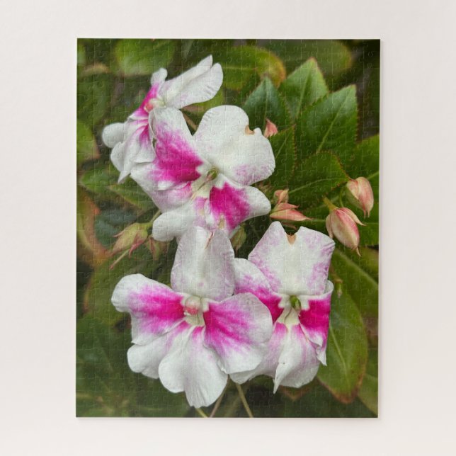 Quebra-cabeça Camélia Rosa Vibrante, São Francisco (Vertical)