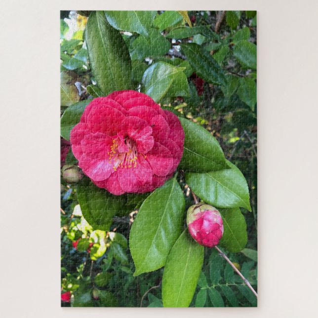 Quebra-cabeça Camélia Vermelha, Palo Alto (Vertical)