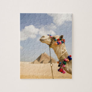 Quebra-cabeça Camelo com pirâmides Giza, Egipto