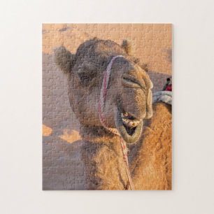 Quebra-cabeça Camelo engraçado no deserto de Oman