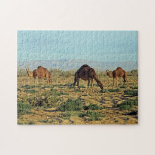 Quebra-cabeça Camelos, Tunísia 252-pc
