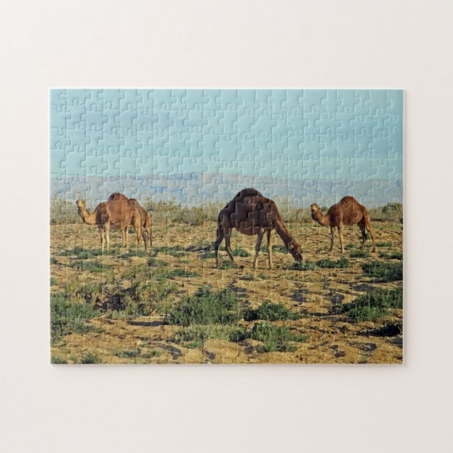 Quebra-cabeça Camelos, Tunísia 252-pc (Horizontal)