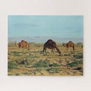 Quebra-cabeça Camelos, Tunísia 520-pc