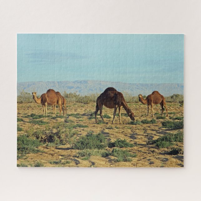 Quebra-cabeça Camelos, Tunísia 520-peças (Horizontal)
