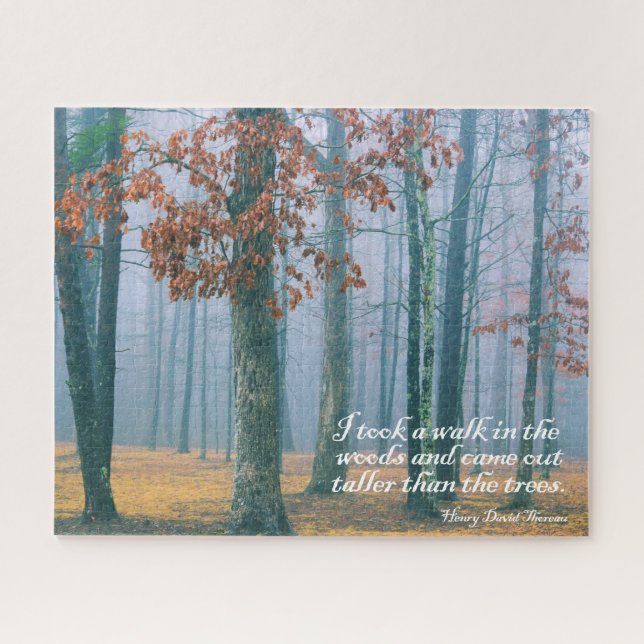 Quebra-cabeça Caminhe na floresta - 16x20 - 520 pcs. (Horizontal)