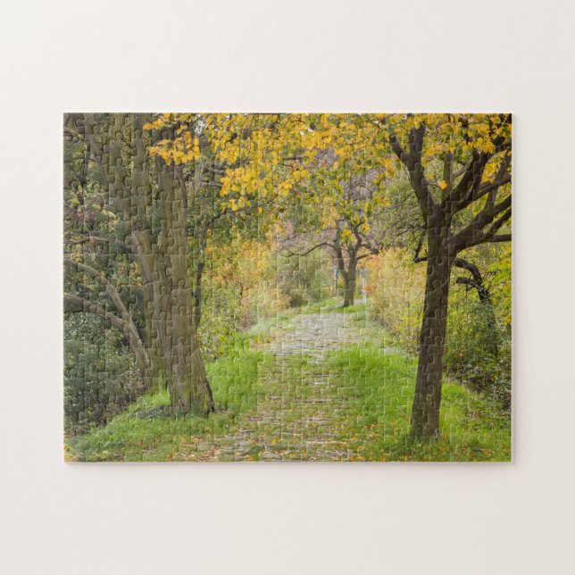 Quebra-cabeça Caminho Arborizado no Outono (Horizontal)