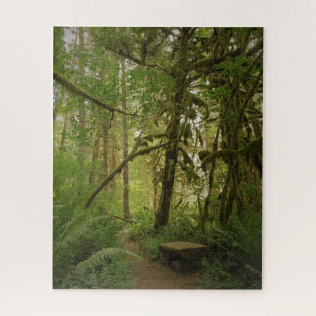 Quebra-cabeça Caminho da Floresta Verde Pacífica em Washington (Vertical)