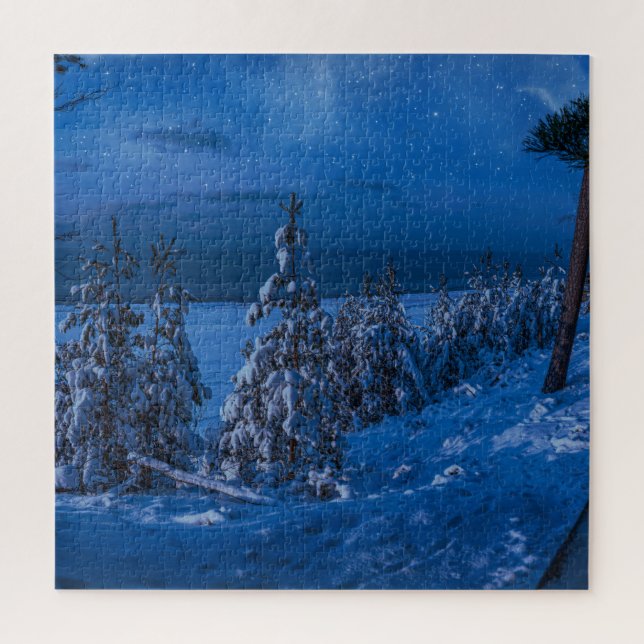 Quebra-cabeça Caminho das florestas na noite de inverno (Vertical)