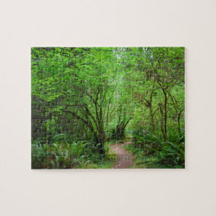 Quebra-cabeça Caminho na Floresta Redwood