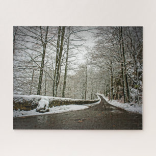 Quebra-cabeça Caminho para Dreamland - Floresta alemã - 16x20 -