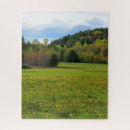 Quebra-cabeça Campo das flores