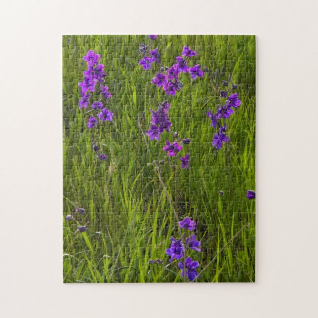 Quebra-cabeça Campo das Flores de Larkspur Roxo (Vertical)
