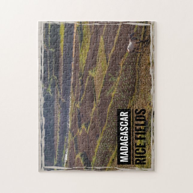 Quebra-cabeça Campo de Arroz em Madagáscar com Capim (Vertical)