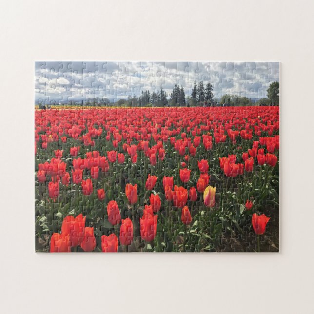 Quebra-cabeça Campo de Ballerina Tulips, Oregon (Horizontal)