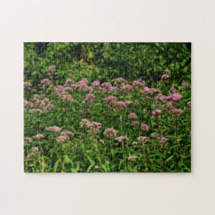 Quebra-cabeça Campo De Doce Joe Pye Weed Flowers Orton
