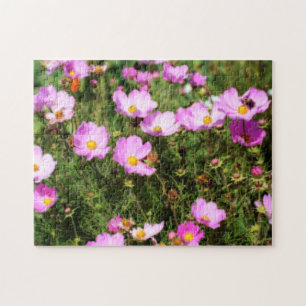 Quebra-cabeça Campo De Efeito Orton De Flor De Cosmos Rosa