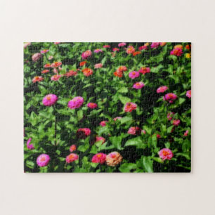 Quebra-cabeça Campo de Flores de Zínia Efeito de Arte Orton