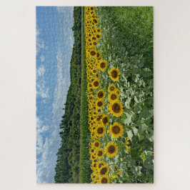 Quebra-cabeça Campo de girassol