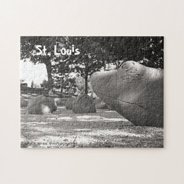 Quebra-cabeça Campo de jogos da tartaruga (Horizontal)