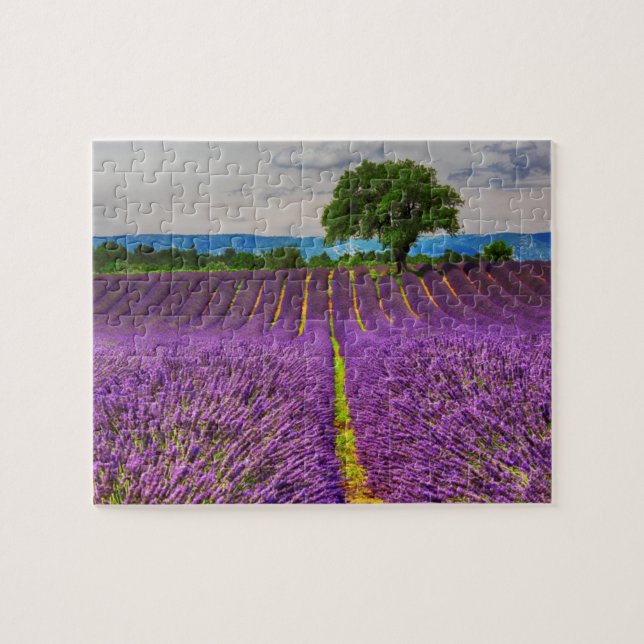 Quebra-cabeça Campo de lavanda cênico, França (Horizontal)