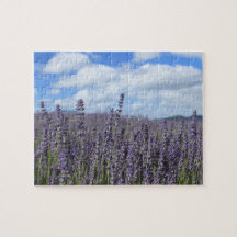 Campo de lavanda com céu azul e nuvens brancas