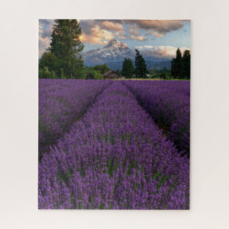 Quebra-cabeça Campo de Lavanda do Oregon Superolhando o Monte Ho