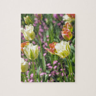 Quebra-cabeça Campo de tulipas