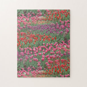 Quebra-cabeça Campo De Tulipas