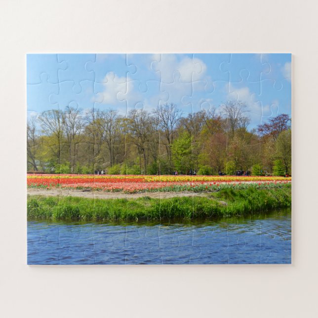Quebra-cabeça Campo de tulipas na Holanda (Horizontal)