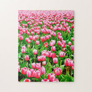 Quebra-cabeça Campo de Tulipas Rosa