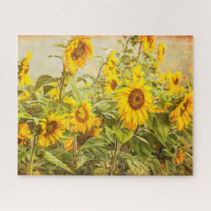 Quebra-cabeça Campo Girassol Vintage Antiguo Amarelo