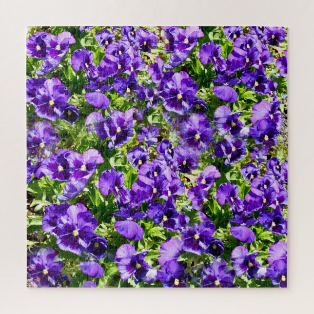 Quebra-cabeça Campo Pansy Roxo, (Vertical)
