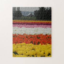 Quebra-cabeça Campos de Tulipas Puzzle, 11" x 14", 252 peças