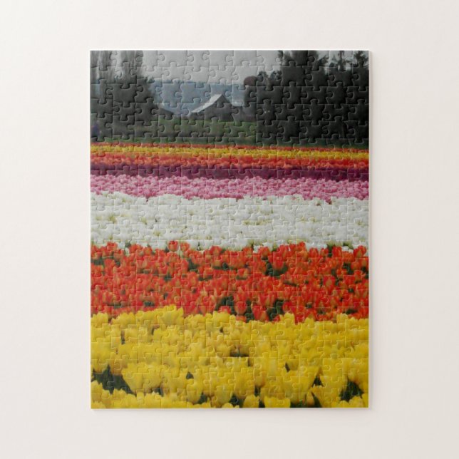 Quebra-cabeça Campos de Tulipas Puzzle, 11" x 14", 252 peças (Vertical)