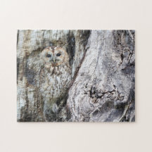 Camuflagem de Coruja Vida Selvagem Ave de Rapina P